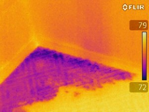leaking shower thermal imaging